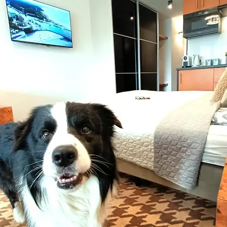 122 W Pieciogwiazdkowym Royal Tulip 200m Plaza Dobruk Romek Prywatny דירה *