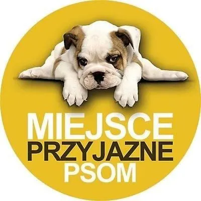 122 W Pieciogwiazdkowym Royal Tulip 200m Plaza Dobruk Romek *